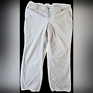 Talbots Baby Blue Velvet Pants Size 22